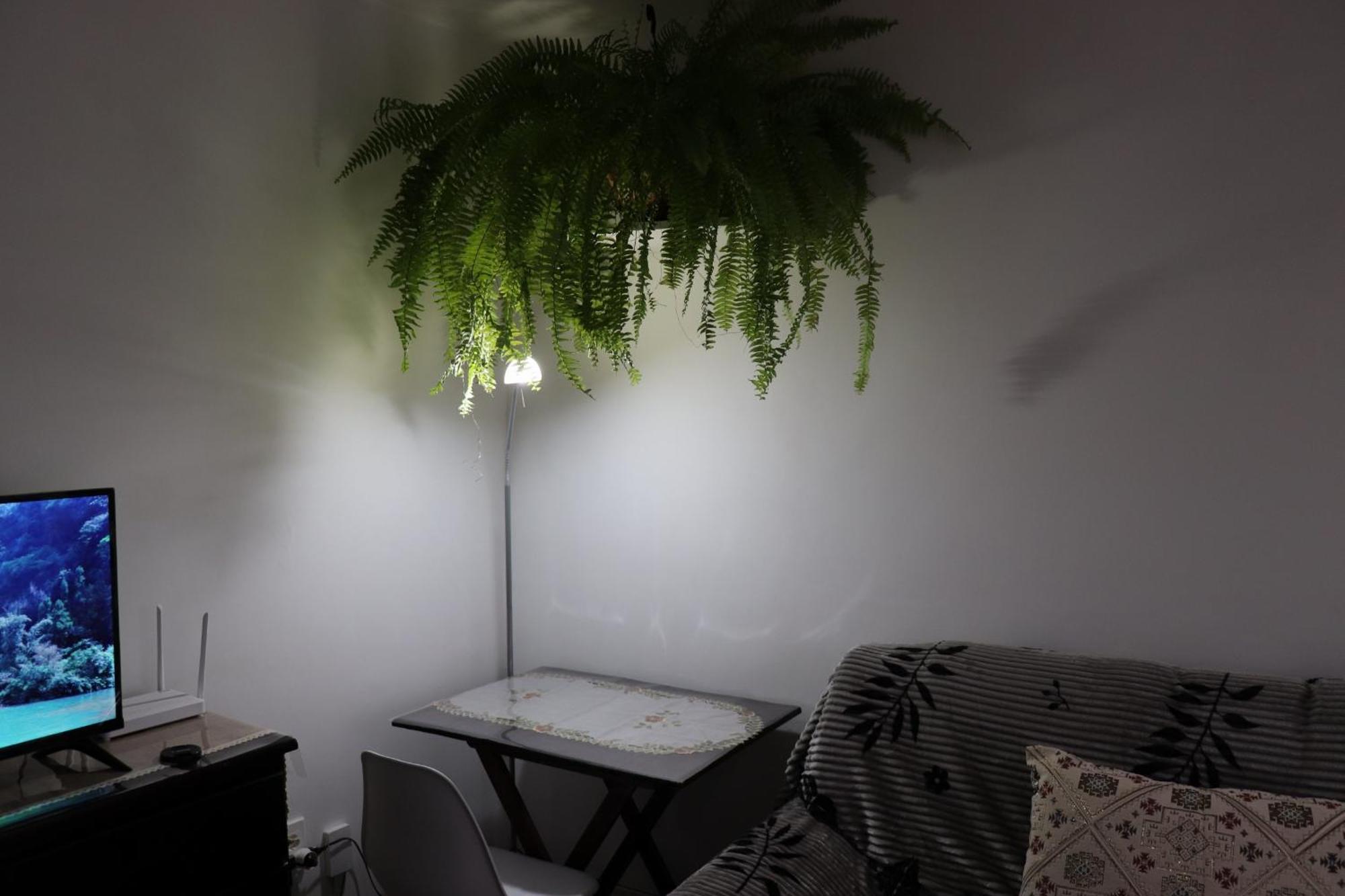 Alca Apartamento Exclusivo A 80 Mts De Playa Pocitos 蒙得维的亚 外观 照片